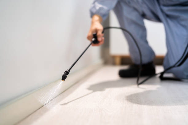 Licensed Termite Control service in Wellsburg, WV - Nex Pest Control