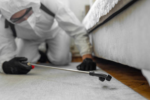 Professional Termite Control technician working in Wellsburg, WV