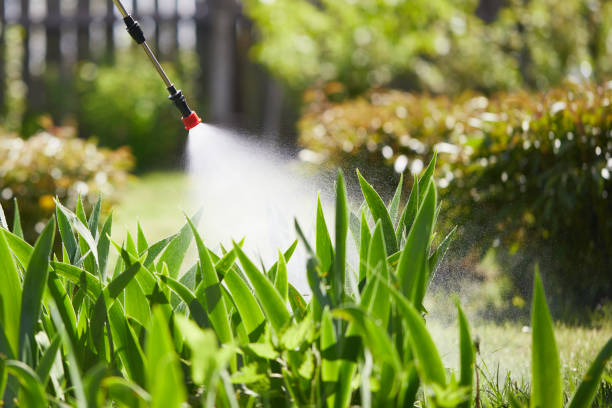 24/7 Emergency Termite Control experts in Wellsburg, WV
