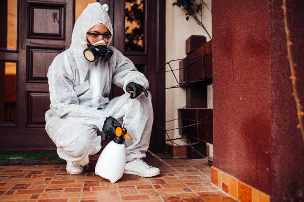 Reliable Termite Control contractor in Wellsburg, WV by Nex Pest Control